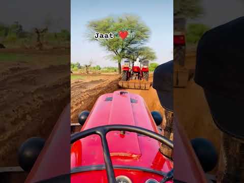 #POV Massey से धरती #बराबर 👑#लेवलर का रौब#BapRajasthan #TractorPOV #KisanLife #RetKiKheti #Massey241