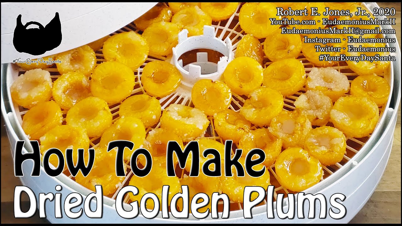 How To DRY GOLDEN PLUMS Day 18,571 YouTube