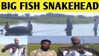 Almatti dam snakeheadfishing# (TigerFish)