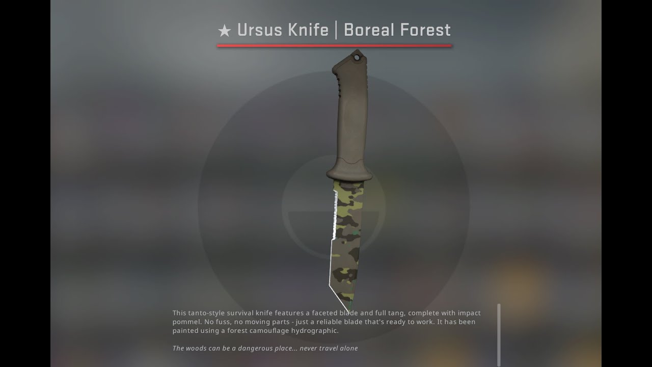CSGO Ursus Knife Boreal Forest Field Tested YouTube