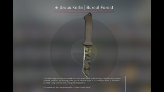 CSGO Ursus Knife Boreal Forest Field Tested