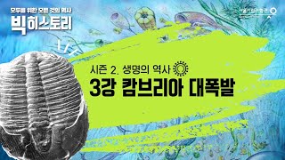 [모모빅] 시즌2-3. 캄브리아 대폭발ㅣ먹고 먹히는 관계 속 살아남기 위한 방법들