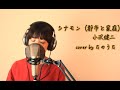 シナモン(都市と家庭)/ 小沢健二 cover by たのうた