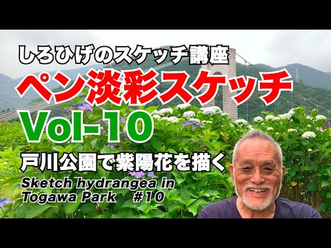 Vol-10 戸川公園で紫陽花を描く　旅の絵師・しろひげ のスケッチレッスン。Sketch a hydrangea in Togawa Park   # 10