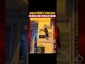 Komik kedi videoları 🐈