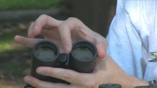 Understanding Binoculars: Aperture