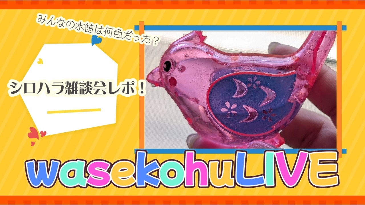わせこふLIVE#275 シロハラ雑談会レポ