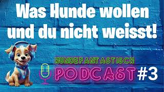 Was Hunde wollen und du nicht weißt! 🐶 Podcast #003 by Hundefantastisch 81 views 9 months ago 2 minutes, 45 seconds