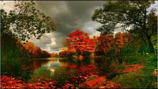 Herfst Wals (Autumn Waltz) Piano & Cello/Abraham Mulder @abrahammulder