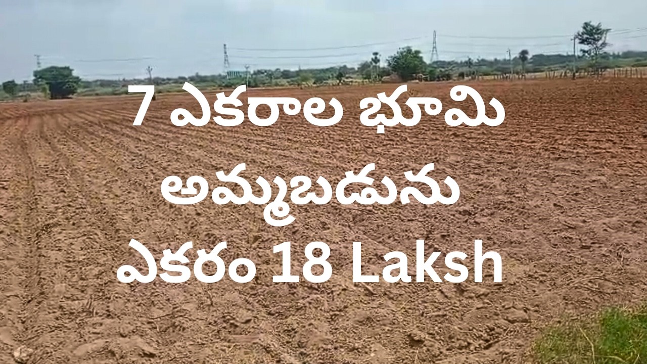 7 Acres Agriculture Land For Sale in Narmetta | Near Warangal Hyderabad Highway | ₹18 Lakhs per Acre