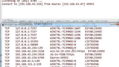 Port Scanning using Nmap, Zenmap and Network Statistics