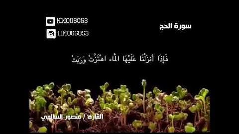 {..... وَتَرَى الْأَرْضَ هَامِدَةً فَإِذَا أَنزَلْنَا عَلَيْهَا الْمَاء سورة الحج 5