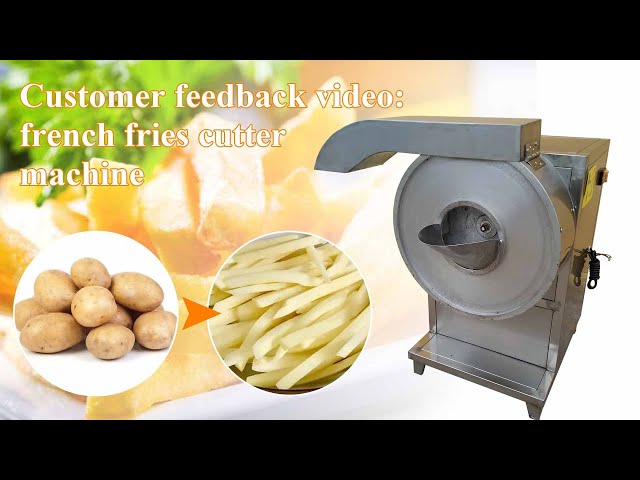 Flyseago Electric French Fry Cutter 