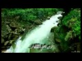 هاجر روووعة مصطفى أبو سالم أنس الشنار 