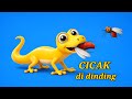 Cicak Cicak di Dinding 🦎 Lagu Anak Indonesia Terbaru | Animasi 3D Lucu & Edukatif