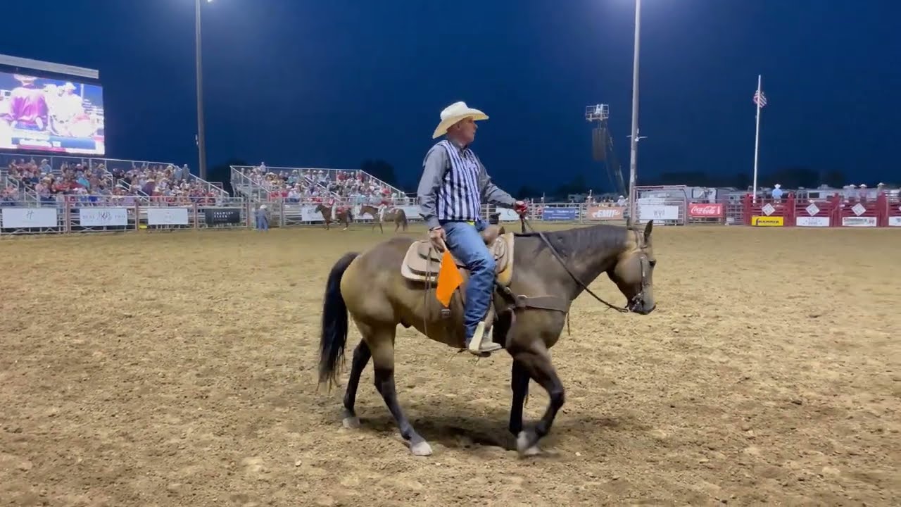 BLACK SPICED RUM Capitan 2014 AQHA Gelding YouTube BLACK SPICED RUM Capitan 2014 AQHA Gelding YouTube