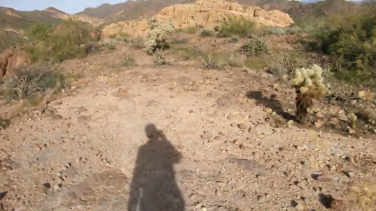 Cottonwood Springs   Palo Verde Arch Lollipop Loop Hike