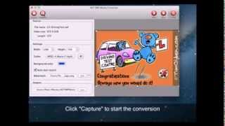 How to Play Flash SWF Files on Mac
