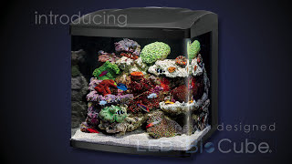 biocube accessories