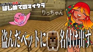 【 初見マイクラ #9 】やりたい放題のマイクラ協力生活！ペットを増やしていきたい！！【 めまいパレード / 羽合アン / 桃野トリ / 個人勢VTuber / minecraft 】
