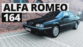 Alfa Romeo 164 V6 – Still Going Strong After 258,000 Miles!