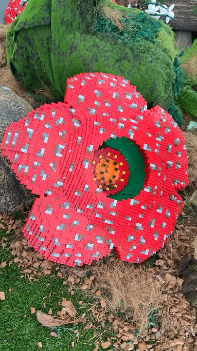 Amazing LEGO Rafflesia Flower Sculpture #lego  #rafflesia  #legoflowers  #legobotanicals