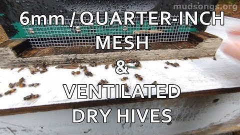 Shrew-Proofing Mesh for Beehives