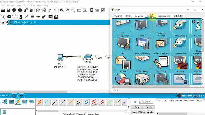 What is server in Cisco Packet Tracer?