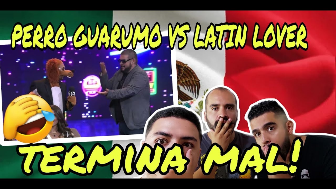 Reacción 🇲🇽🤣Perro GUARUMO reta a Latín LOVER, todo termina mal!