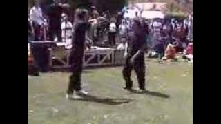 Su Dong Chen World Tai Chi Day demo #5