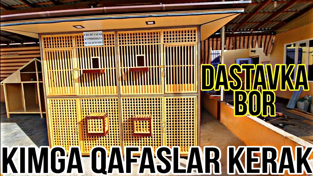 OLIFTA HAR XIL TURDEGI QAFASLAR O'ZBEKISTON BO'YICHA DASTAVKA BOR