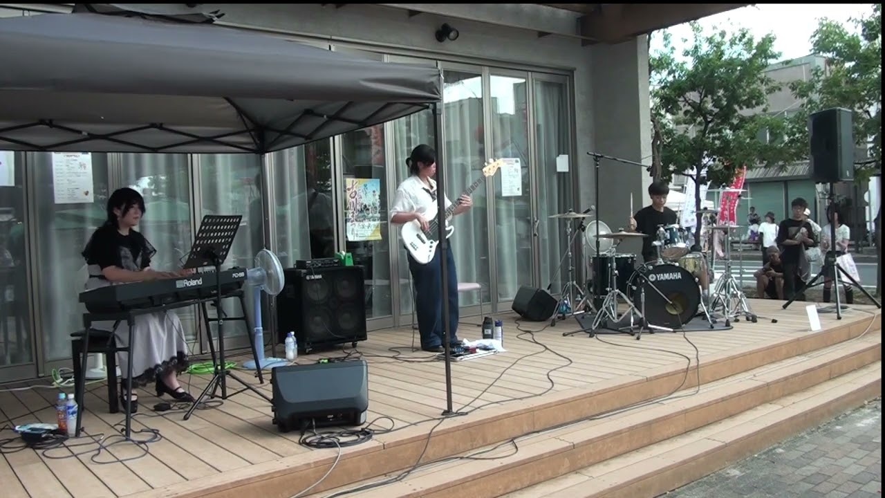 foxcaptureplan / Vortex  cover