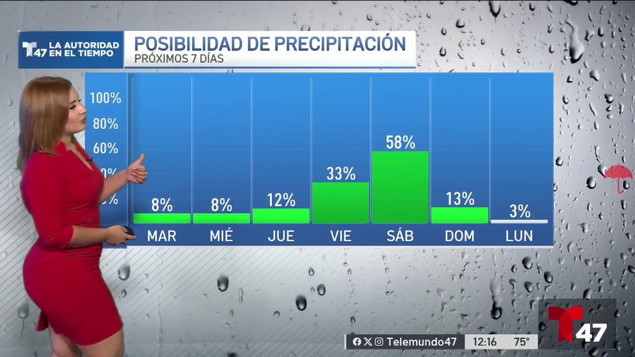 Tairy Ynoa | Weather 318
