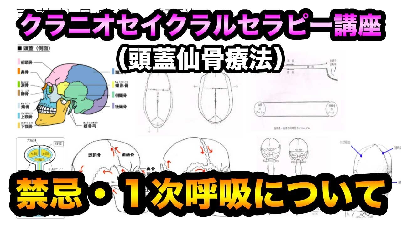 クラニオセイクラルセラピー講座】禁忌・1次呼吸が分かるやり方を解説