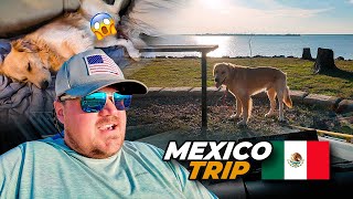 RVing Mexico ... Didn't go as planned ..... by Kolby Adventures 91 views 2 months ago 12 minutes, 18 seconds