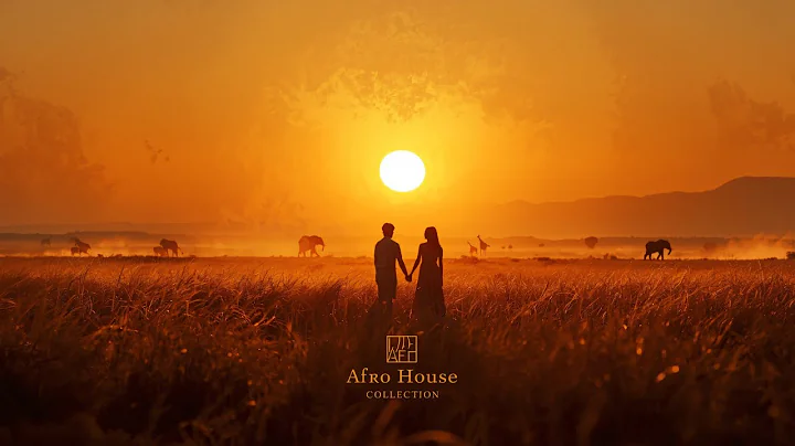 Groovy 90 Afro Tech Hits 🌍🎶 | Inspired by Caiiro, Djeff