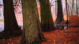 PB270122