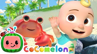 Sea Animal Song | Animal Songs For Kids | CoComelon Nursery Rhymes