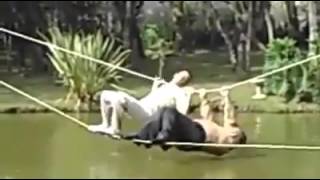 Too Funny Not To Share Epic Fail While Crossing A River