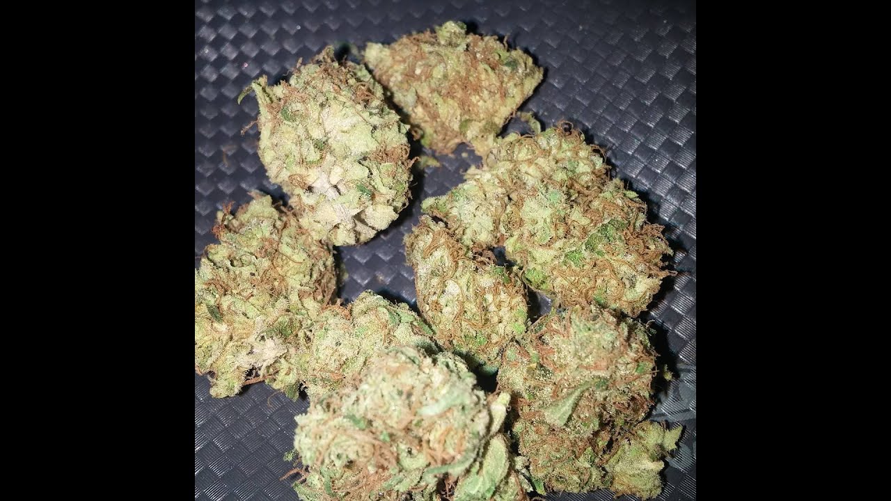 Turtle 4614/High Ep.96 White Widow Review!!!