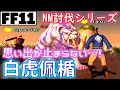 FF11】NM討伐シリーズ！白虎佩楯！思い出トークと共に！ - YouTube