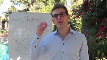 SPECTACULAR ICO: iungo (ING) - Uber of WIFI