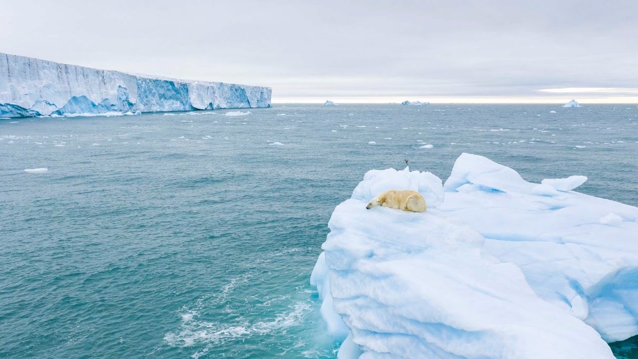 Arctic Marine Governance