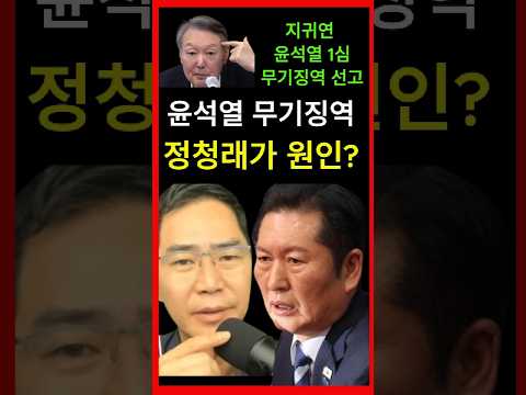 사형이 마땅한 내란수괴에게 <strong>무기징역</strong> 선고 원인이 정청래? #shorts