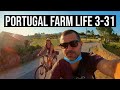 LIVING the GOOD LIFE on a FARM in CENTRAL PORTUGAL| PORTUGAL FARM LIFE S3-E31 ☀