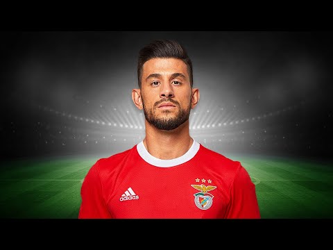 How Good Is Pizzi At Benfica? ⚽🏆🇵🇹