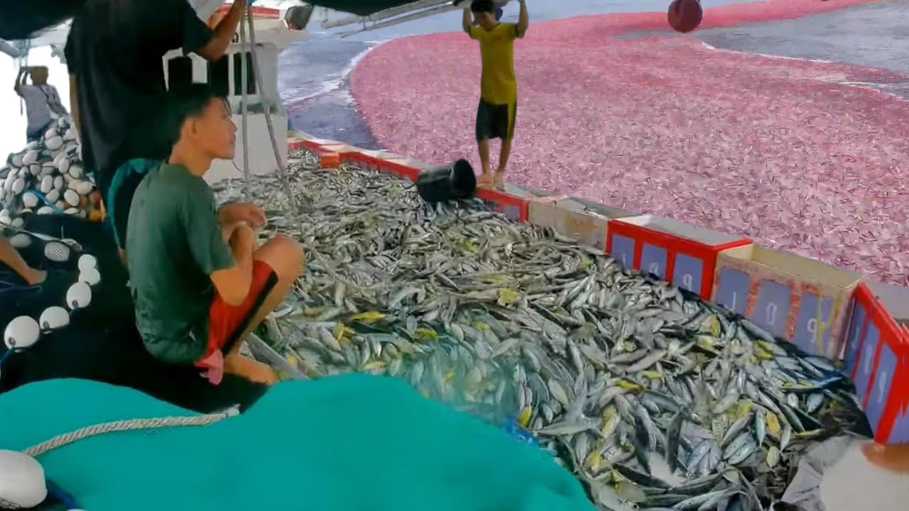 Million Dollar Catch – A Life Changing Voyage for the Fishermen ...