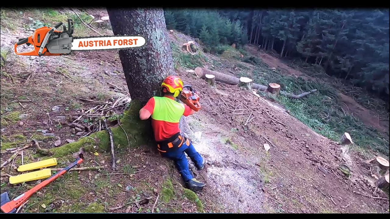 Jetzt muss Christoph mir zeigen was er kann