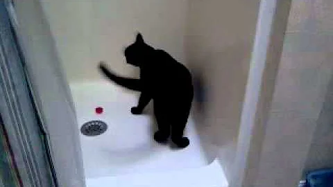 Oscar in shower