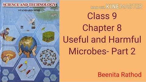 (Semi-English)Class 9 Science and Technology|Chapter8|Useful and Harmful Microbes-Part 2
